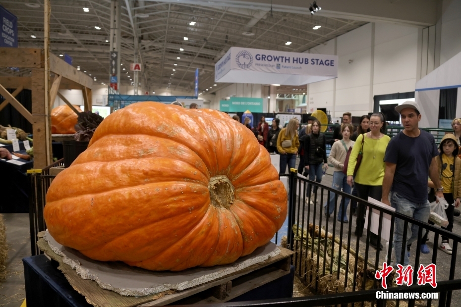 Canadá: Toronto realiza 101ª Feira Agrícola Real de Inverno