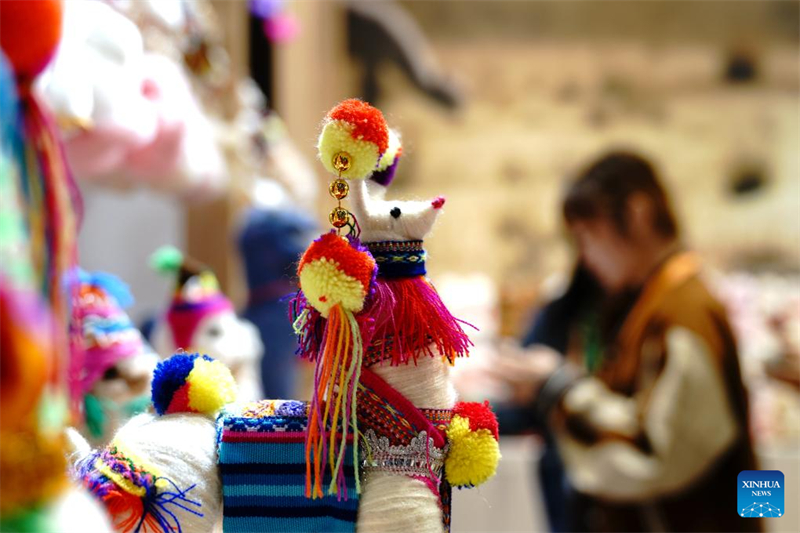 6ª CIIE oferece um palco para a exibição de diferentes culturas