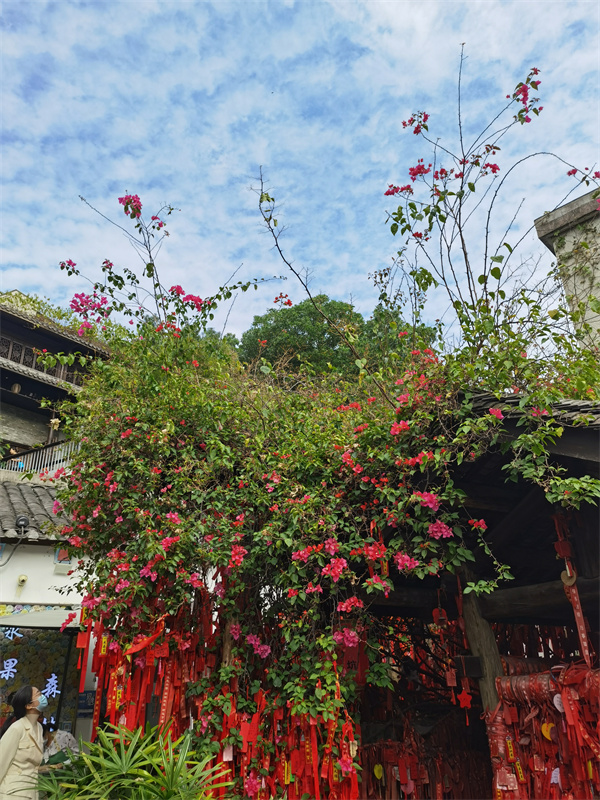 Aldeia antiga de Gankeng: um marco da cultura e arquitetura hakka