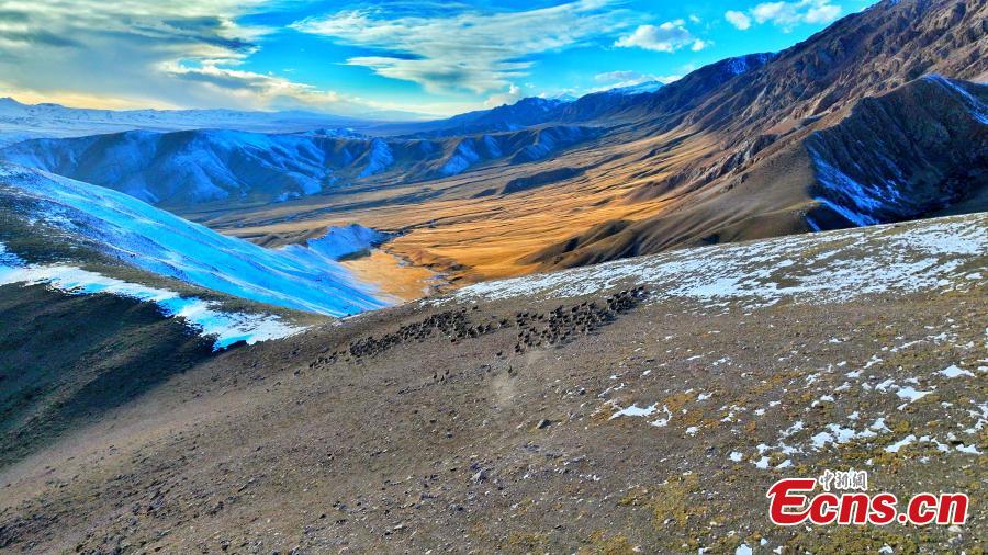 Galeria: paisagem da bacia Qaidam no inverno