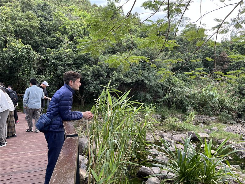 Parque Nacional de Geologia da Península de Dapeng em Shenzhen: um dos 