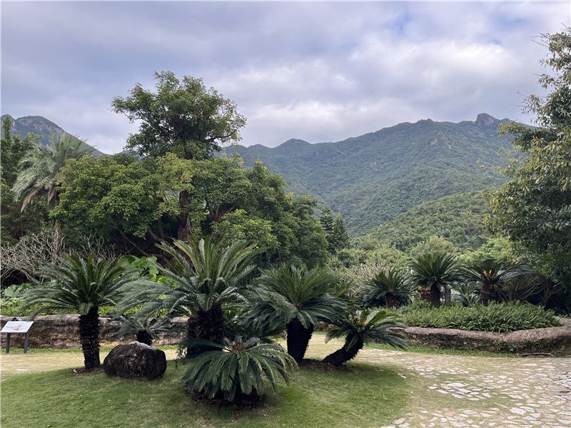 Parque Nacional de Geologia da Península de Dapeng em Shenzhen: um dos 