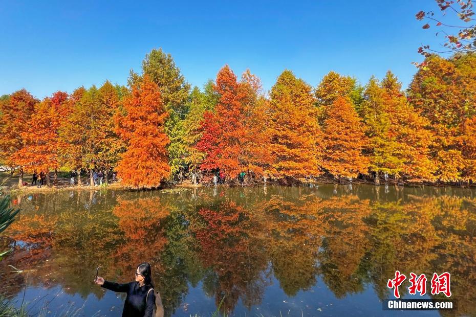 Galeria: paisagem invernal da Montanha Púrpura em Nanjing