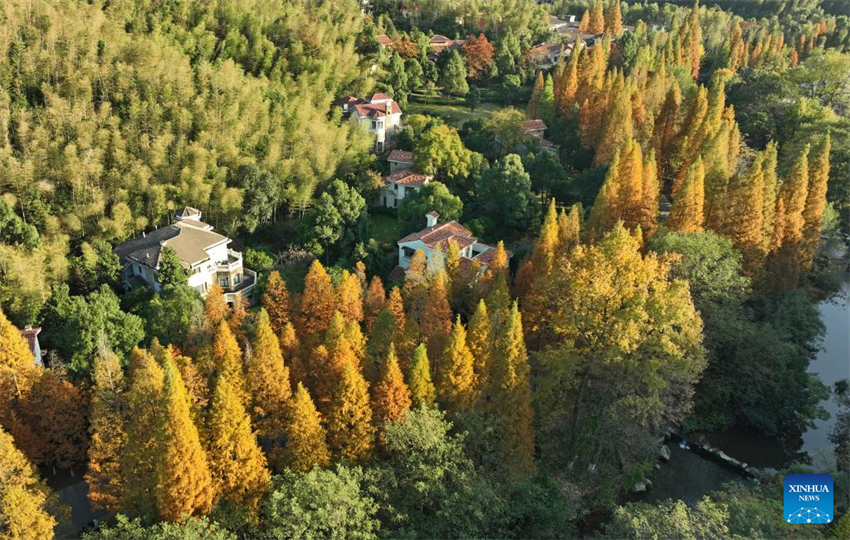 Galeria: Parque florestal nacional Meiling em Nanchang, leste da China