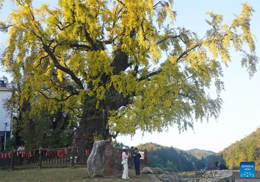 Galeria: Parque florestal nacional Meiling em Nanchang, leste da China