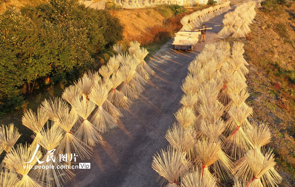 Jiangxi: indústria de processamento de bambu contribui para revitalização rural