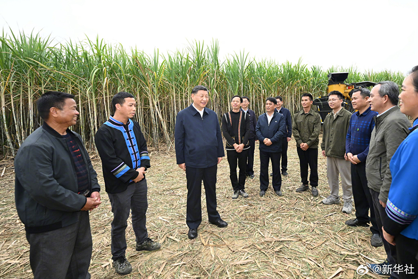 Xi Jinping inspeciona cidade de Laibin, em Guangxi, no sul da China