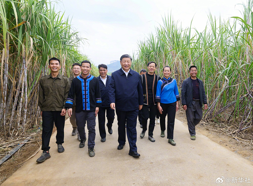 Xi Jinping inspeciona cidade de Laibin, em Guangxi, no sul da China