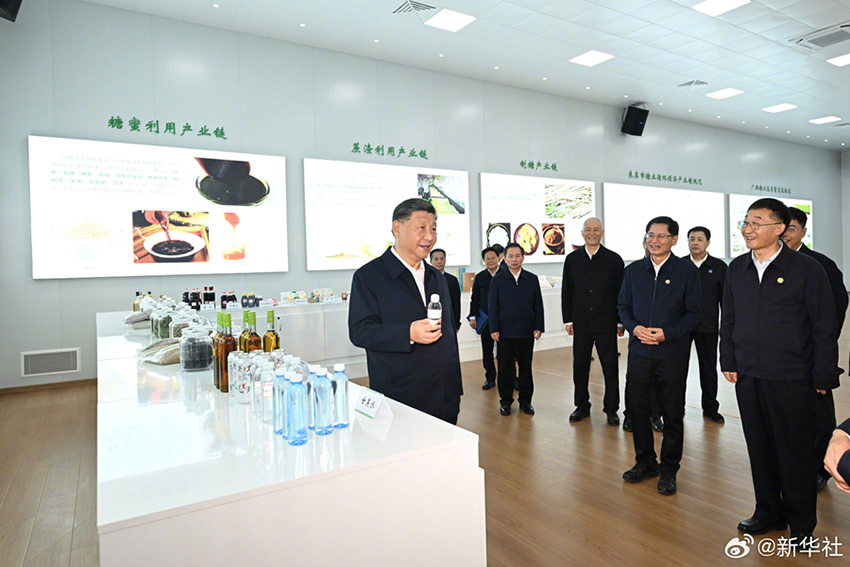 Xi Jinping inspeciona cidade de Laibin, em Guangxi, no sul da China