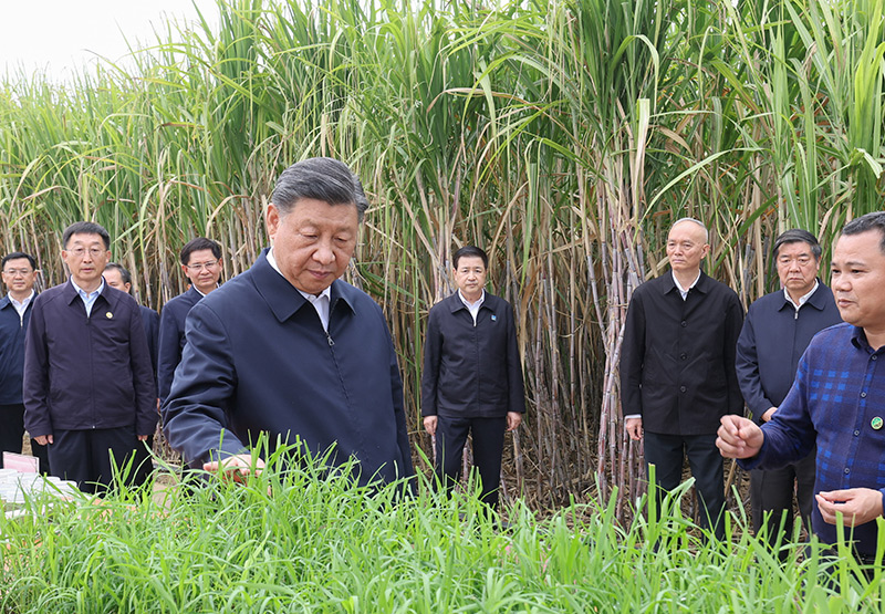 Xi Jinping pede que Guangxi escreva seu capítulo na modernização chinesa