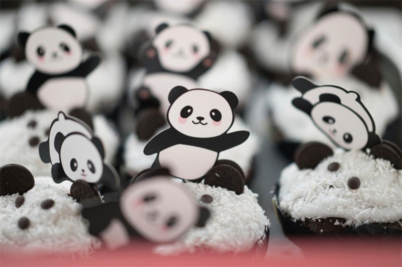 Pandas gêmeos nascidos na Alemanha chegam à China
