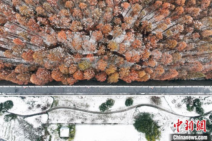 Galeria: vista espetacular da cidade antiga de Nanjing após neve