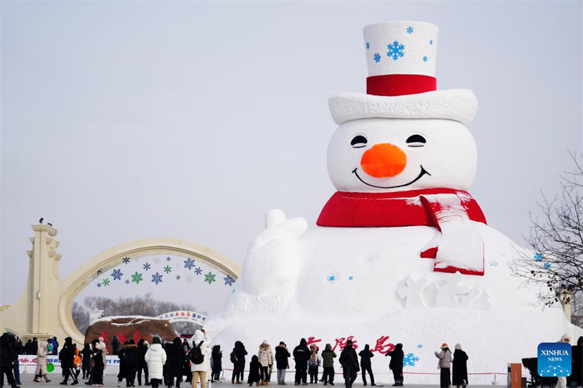 Heilongjiang torna-se destino popular para turismo de inverno na China