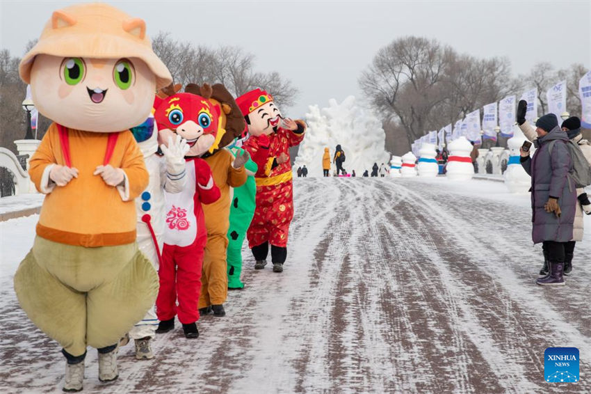 Heilongjiang torna-se destino popular para turismo de inverno na China