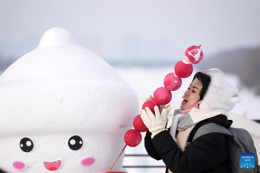 Heilongjiang torna-se destino popular para turismo de inverno na China