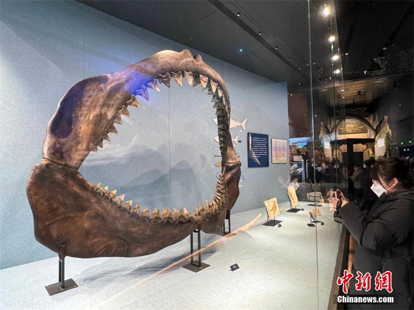Maior museu natural da Ásia é aberto no norte da China