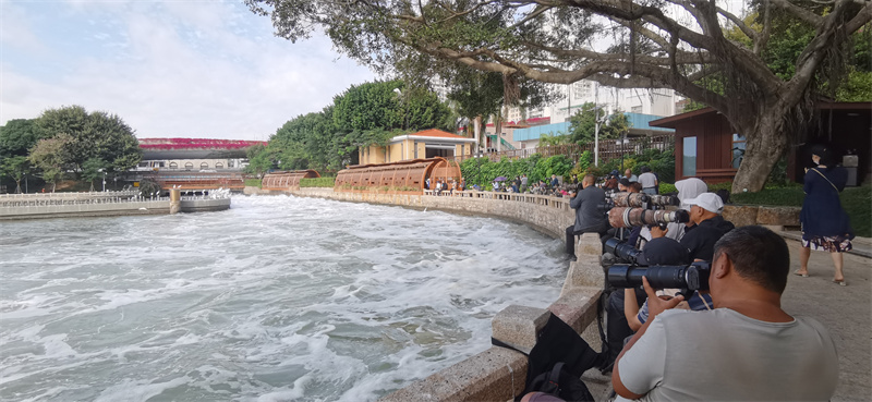 Xiamen: garças-brancas voam no Lago Yundang