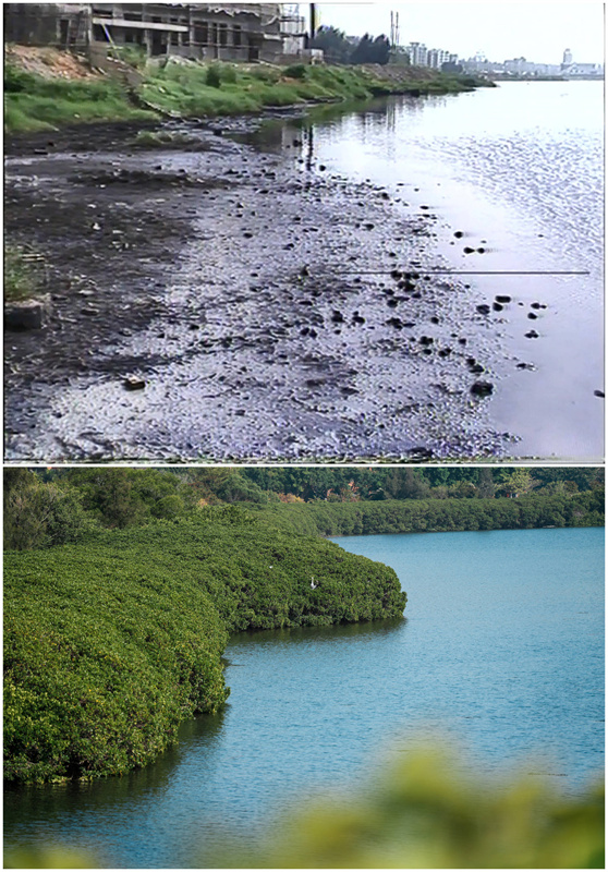 Lago Yundang: de lago poluído ao pulmão verde da cidade