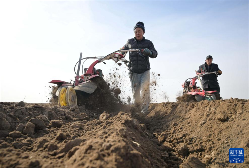 Galeria: agricultores de Hebei atarefados com época de semeadura da primavera