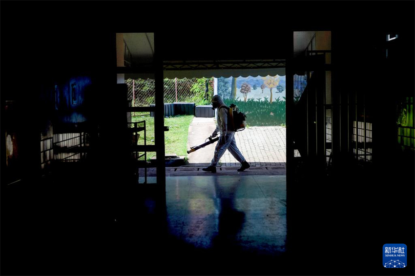 Brasil recorre a inseticida para combater a dengue