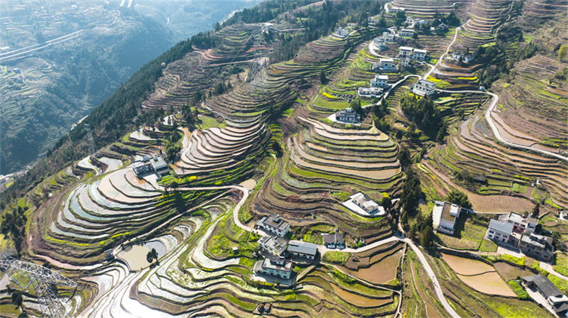 Agricultores de Gulin estão ocupados com plantio da primavera, no sudoeste da China