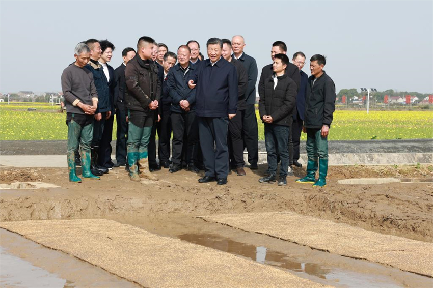 Xi Jinping inspeciona trabalho de agricultura da primavera