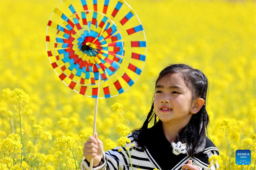 Galeria: Flores florescem em toda a China na primavera