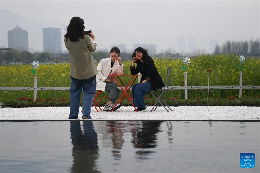 Galeria: Flores florescem em toda a China na primavera