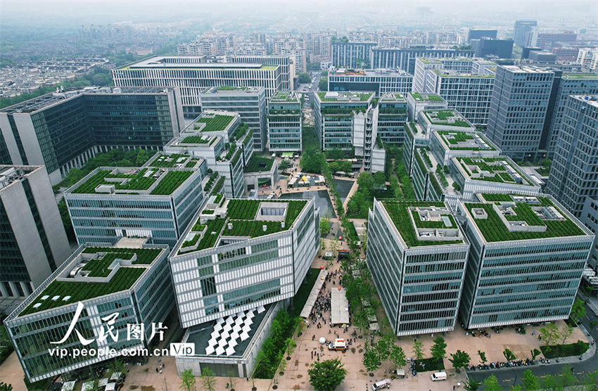 Galeria: jardins de chá nos telhados de edifícios atrai visitantes em Hangzhou