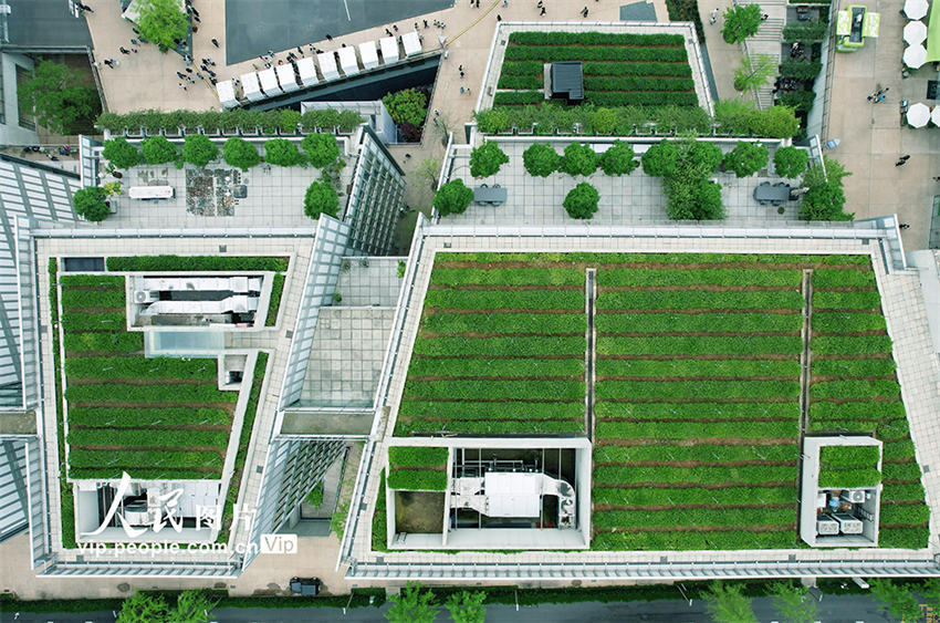 Galeria: jardins de chá nos telhados de edifícios atrai visitantes em Hangzhou