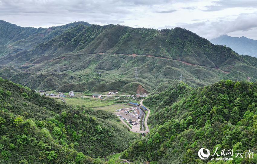 Competição de descascamento de brotos de bambu celebra a colheita em Yunnan