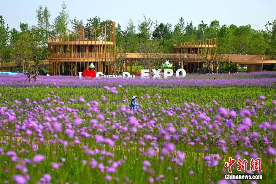 Exposição Mundial de Horticultura de Chengdu 2024 é aberta ao público