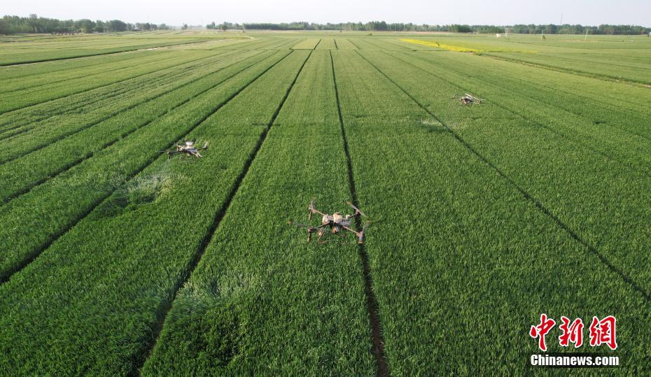 Hebei usa tecnologia de ponta para auxiliar nas operações agrícolas de campo