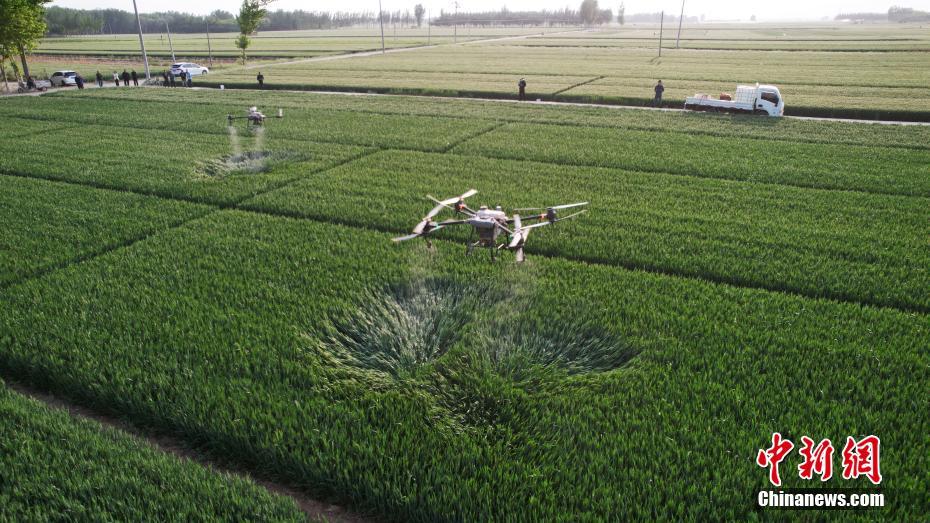 Hebei usa tecnologia de ponta para auxiliar nas operações agrícolas de campo