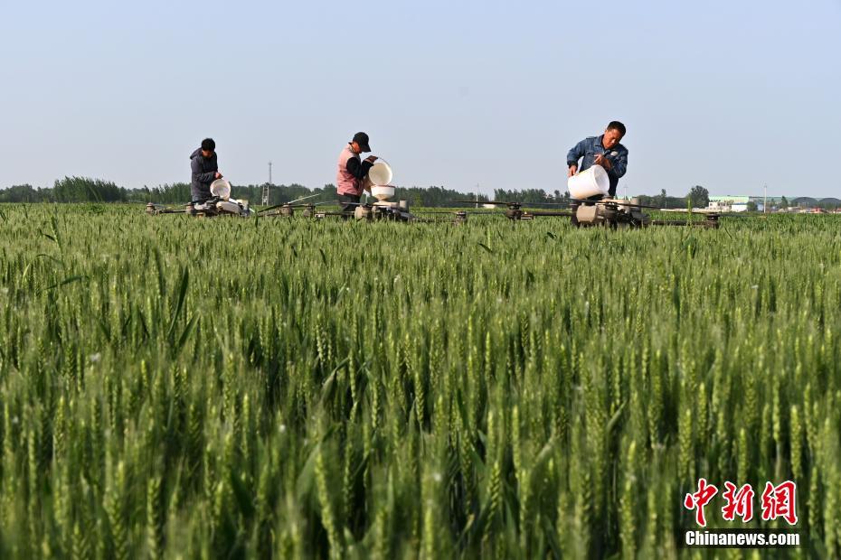 Hebei usa tecnologia de ponta para auxiliar nas operações agrícolas de campo