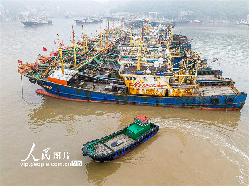 Proibição de pesca marítima será iniciada em Zhejiang, leste da China