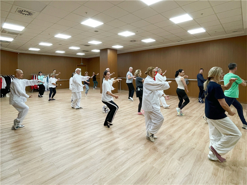 Galeria: cursos do Centro Cultural Chinês em Belgrado populares entre a população local