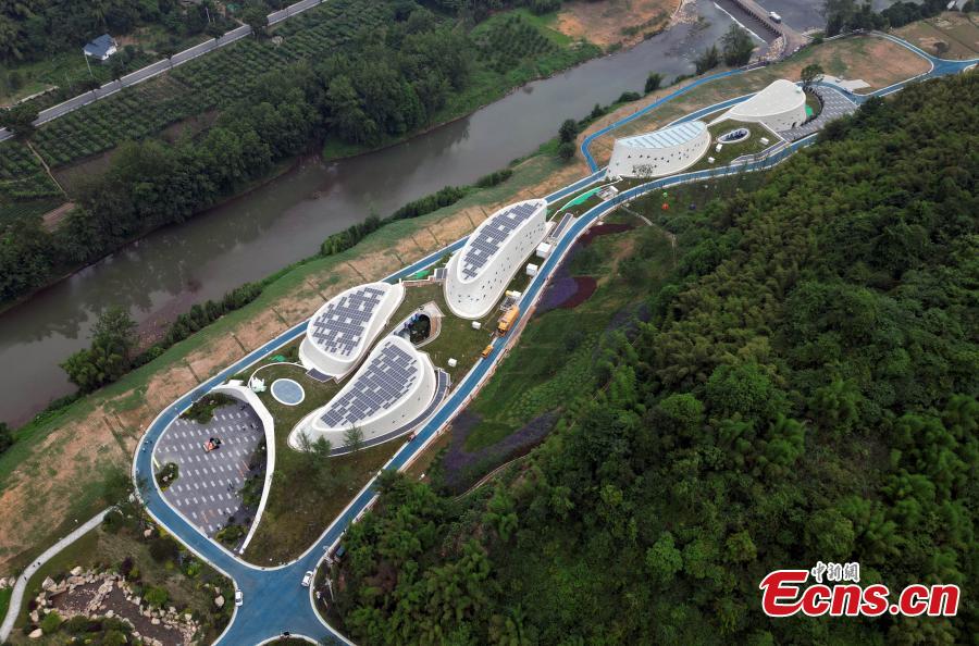 Explorando a biodiversidade na Exposição Internacional de Horticultura 2024 em Chengdu