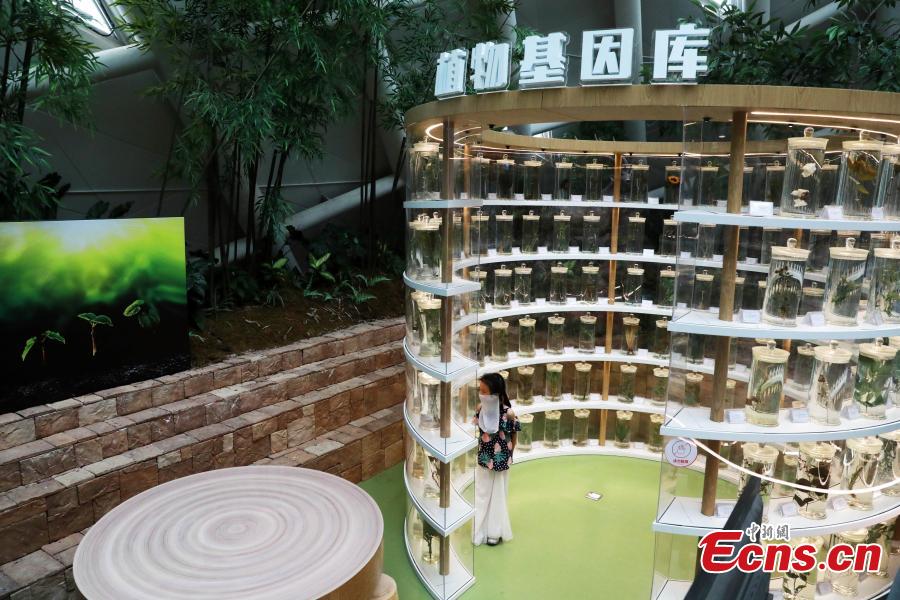 Explorando a biodiversidade na Exposição Internacional de Horticultura 2024 em Chengdu