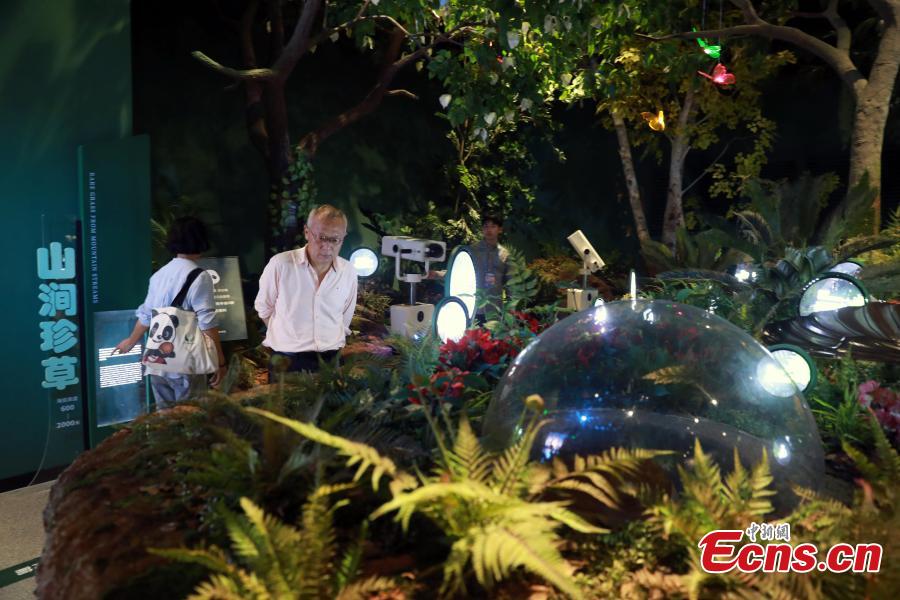 Explorando a biodiversidade na Exposição Internacional de Horticultura 2024 em Chengdu