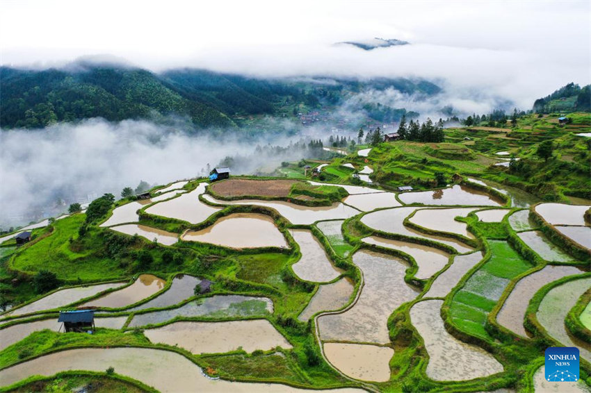 Vista aérea do terraço em Guizhou, no sudoeste da China