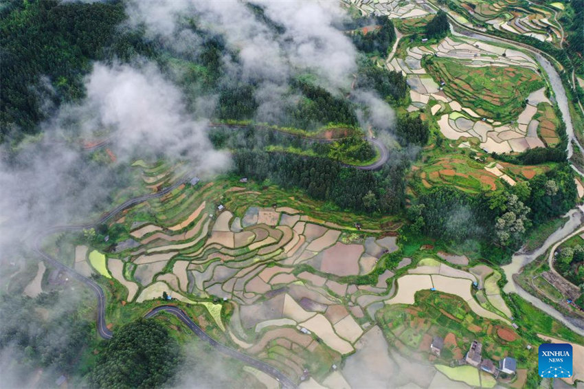 Vista aérea do terraço em Guizhou, no sudoeste da China