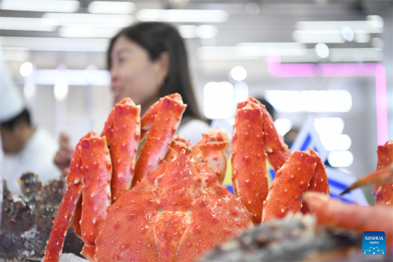 Destaques da 8ª Expo China-Rússia