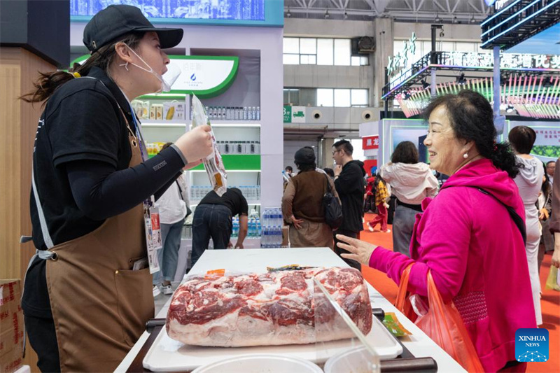 Destaques da 8ª Expo China-Rússia