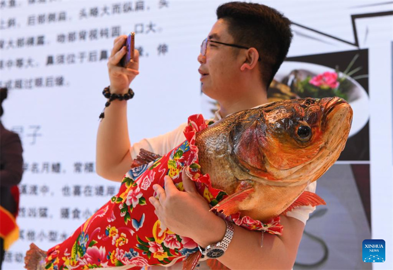 Destaques da 8ª Expo China-Rússia
