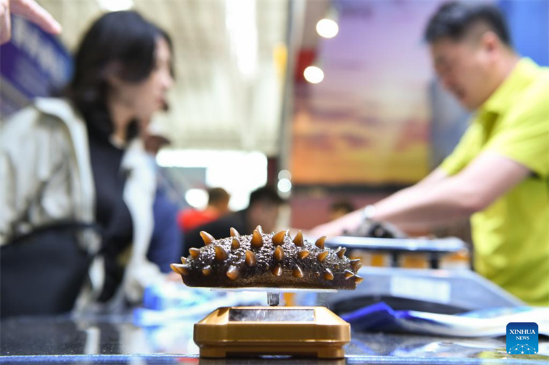 Destaques da 8ª Expo China-Rússia