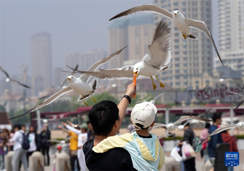 Início do verão traz alta temporada turística para Dalian, cidade no nordeste da China