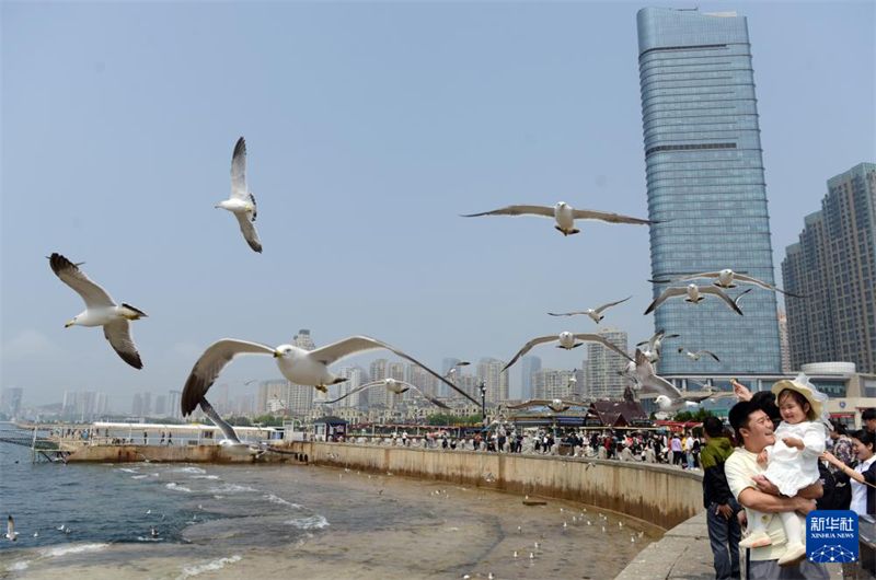 Início do verão traz alta temporada turística para Dalian, cidade no nordeste da China