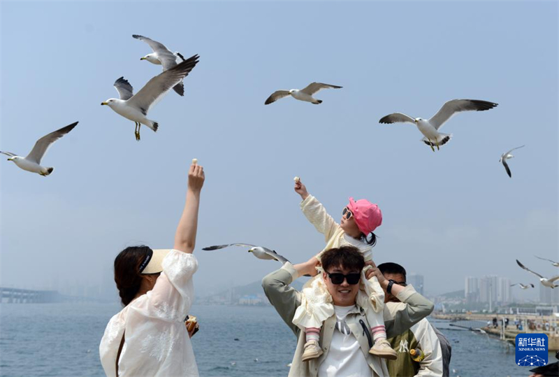 Início do verão traz alta temporada turística para Dalian, cidade no nordeste da China