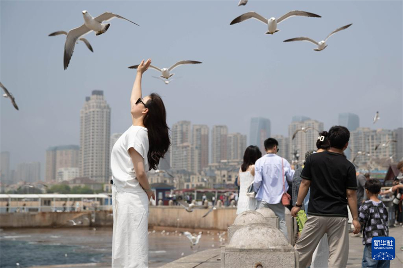 Início do verão traz alta temporada turística para Dalian, cidade no nordeste da China